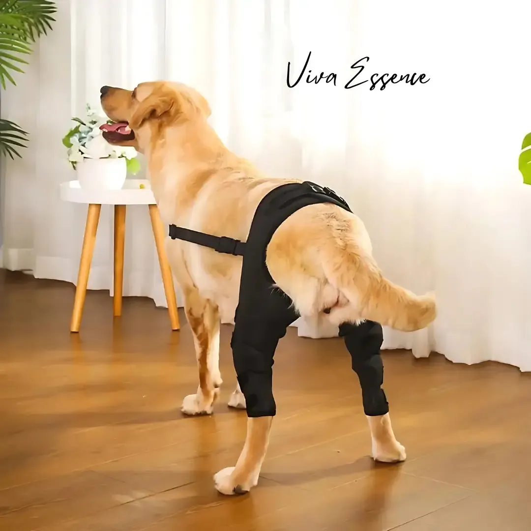 Adjustable Dog Knee and Leg Support Brace