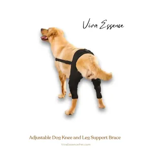 Adjustable Dog Knee and Leg Support Brace