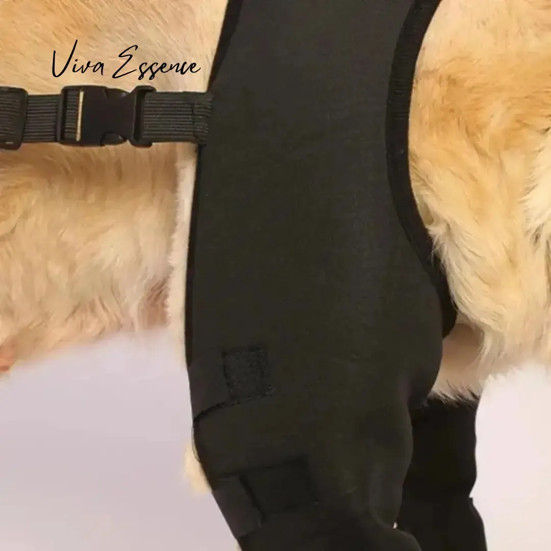 Adjustable Dog Knee and Leg Support Brace