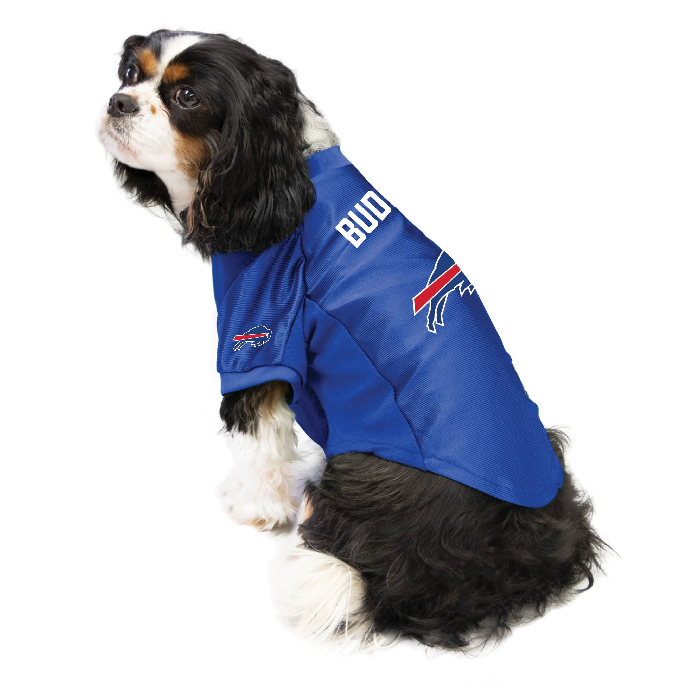 Buffalo Bills Custom Pet Stretch Jersey