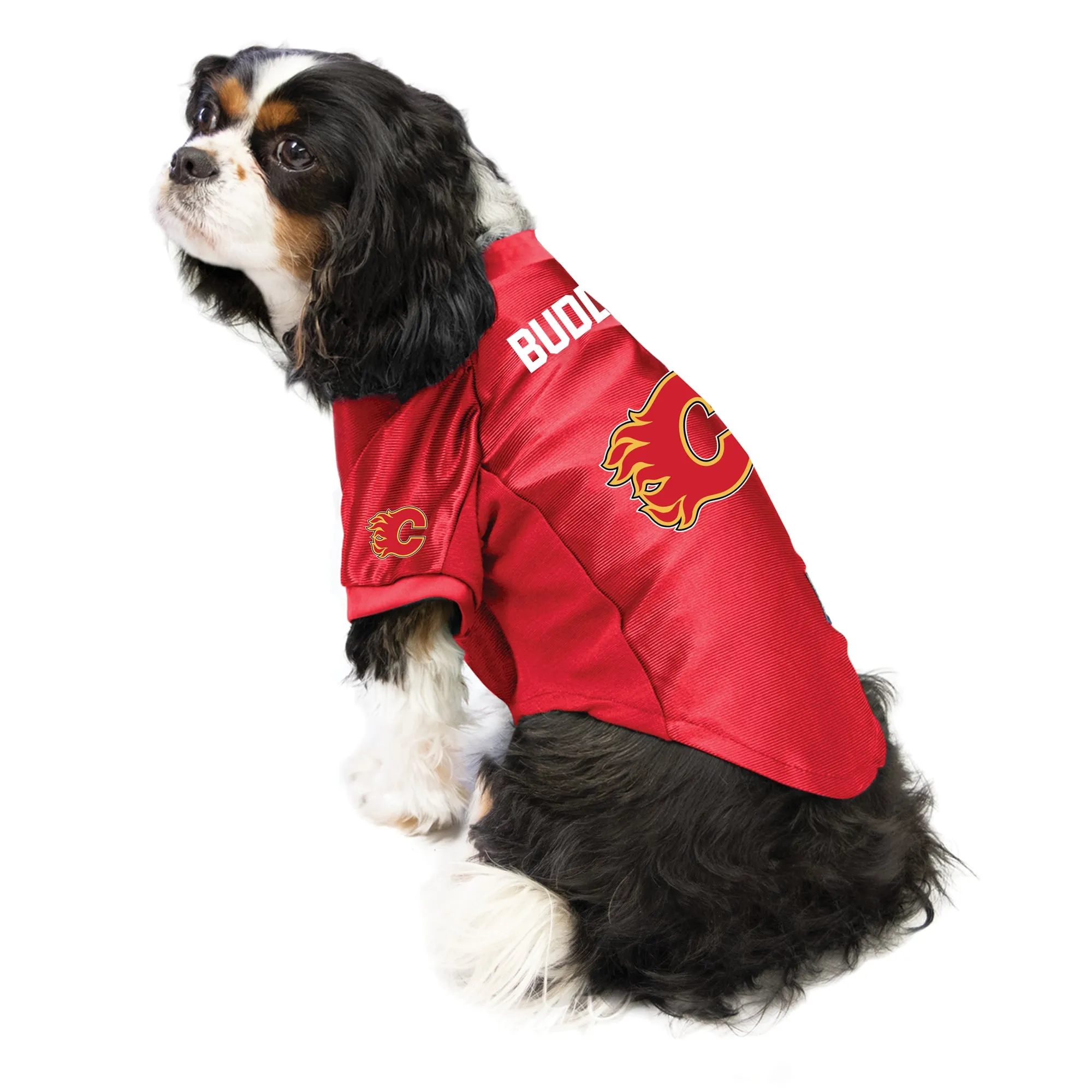 Calgary Flames Custom Pet Stretch Jersey