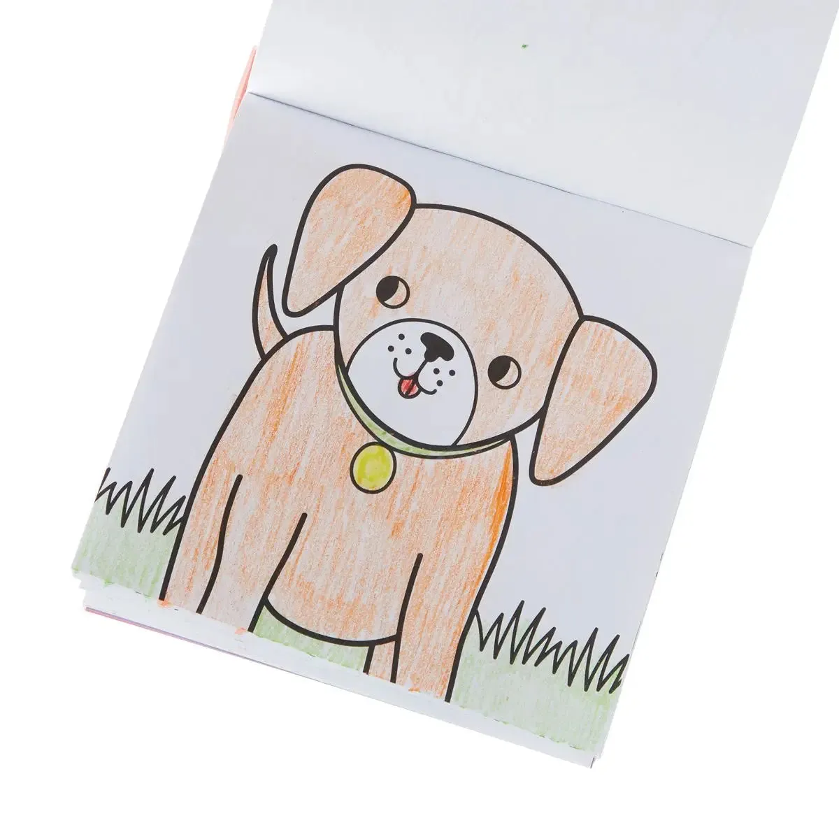 Carry Along Crayons and Coloring Book - Pet Pals