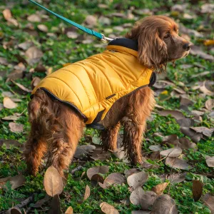 Dear Pet Quilted Jacket for Dogs (Yellow)