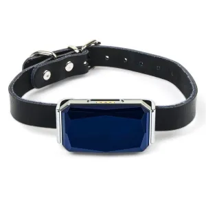 Dog Collar GPS Tracker