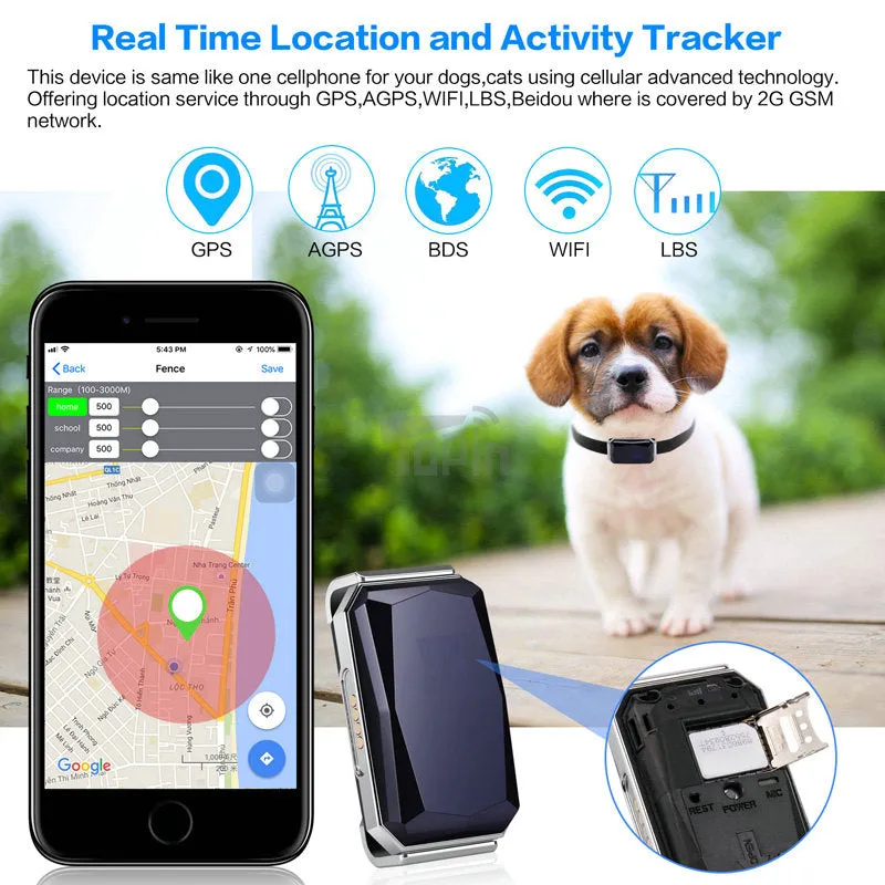 Dog Collar GPS Tracker