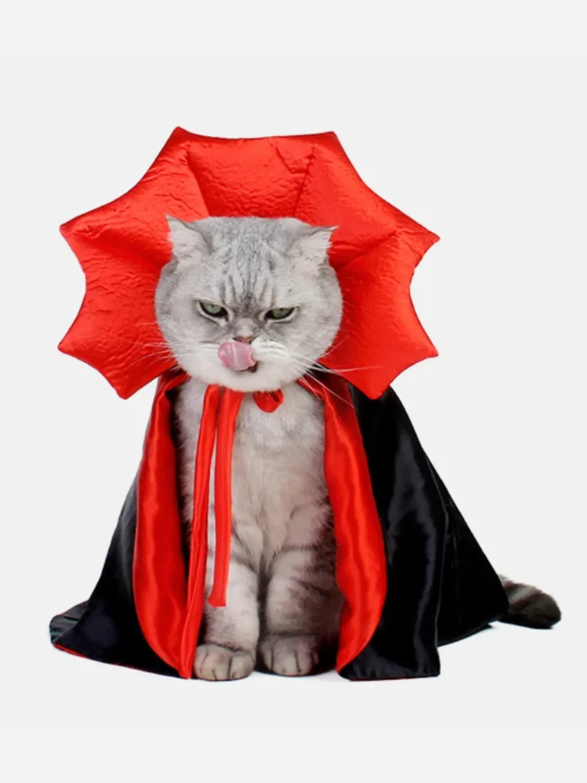 Halloween Vampire Cloak for Small Dogs and Cats