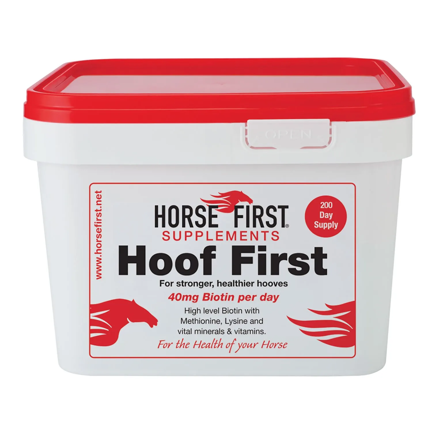 Horse First Hoof First