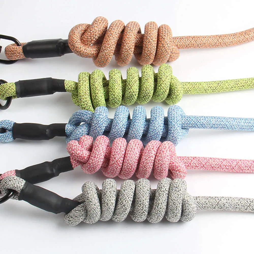 PAWS ASIA China Suppliers Wholesale New Style Cute Adjustable Pet Harness Leash Set Dog Cat With Comfortable Handle