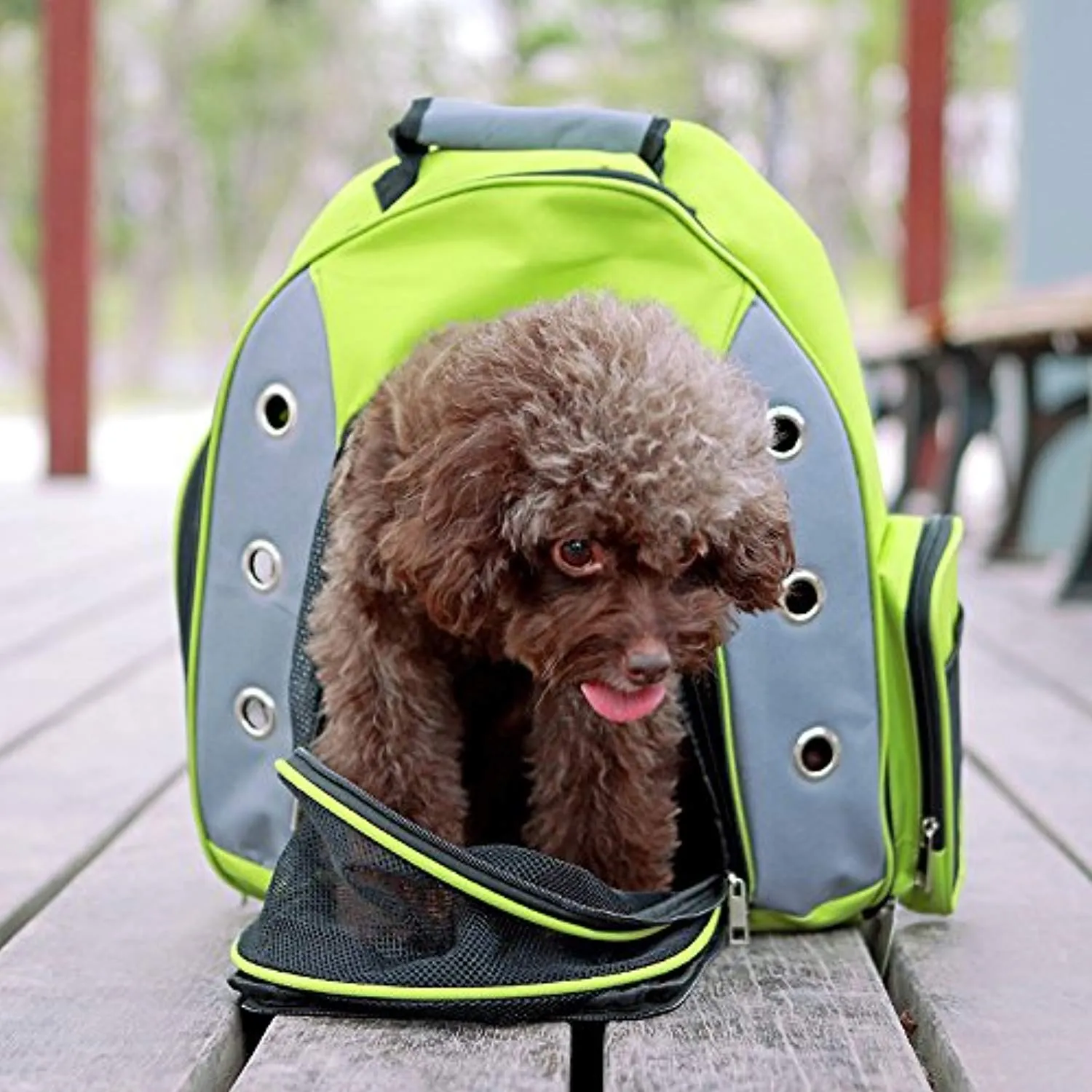 Pet Carriers Backpack for Small Cat&Dog Double Shoulders Straps Ventilated