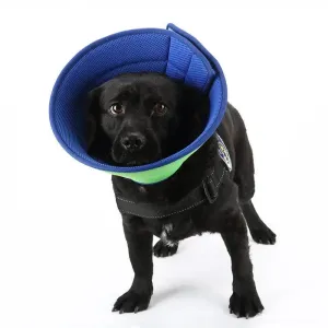 Pet Collar Medical Recovery Collars