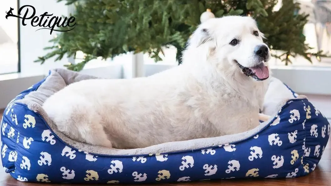 Petique's Anchors Away Pet Bed Comfortable with Charming Angel Hair Fiber Design, Air Flow Platform, Versatile Use, Stylish Functionality & Washable Dog Bed | Craftsmanship for Dogs Cats & More