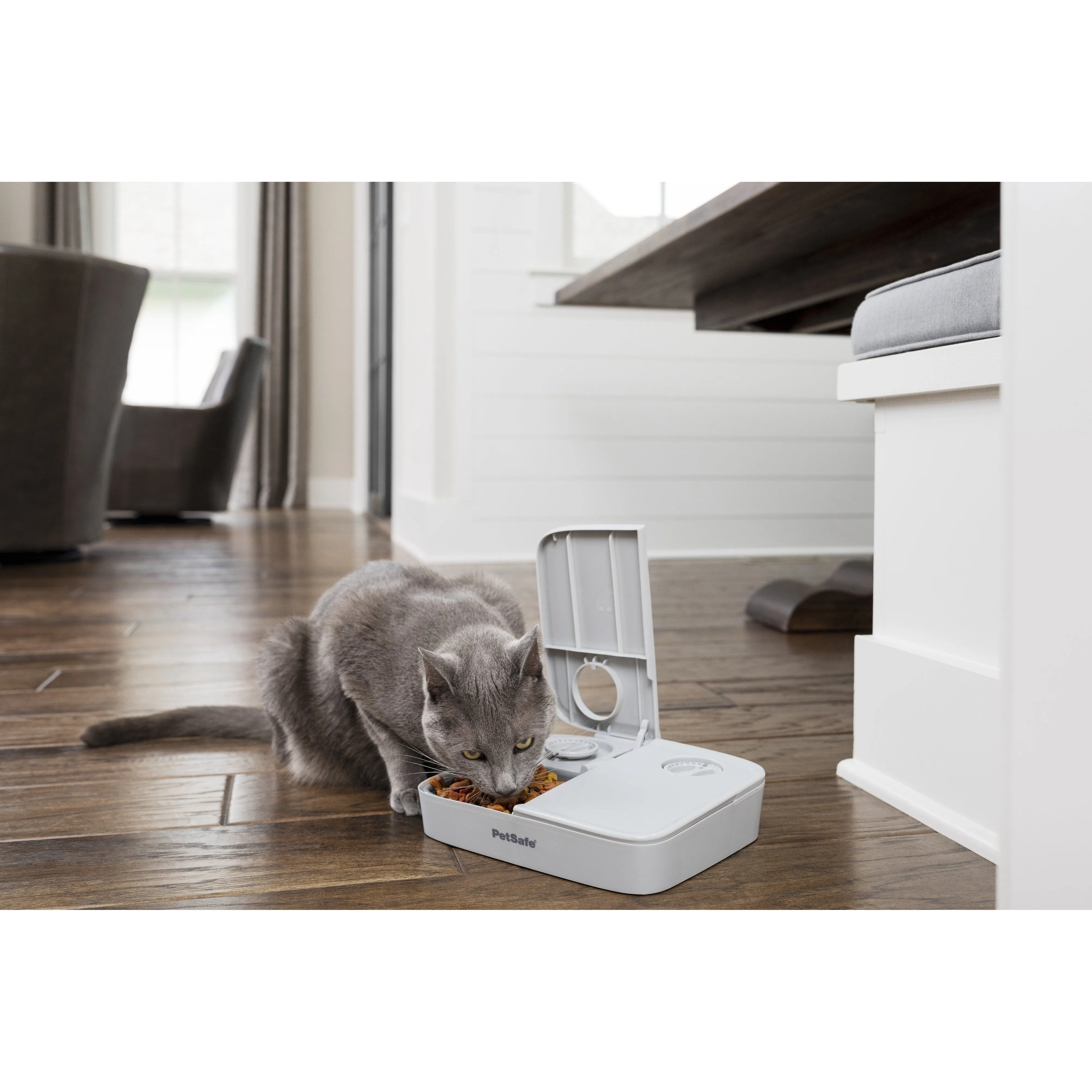 PetSafe Automatic Two Meal Pet Feeder for Dogs and Cats