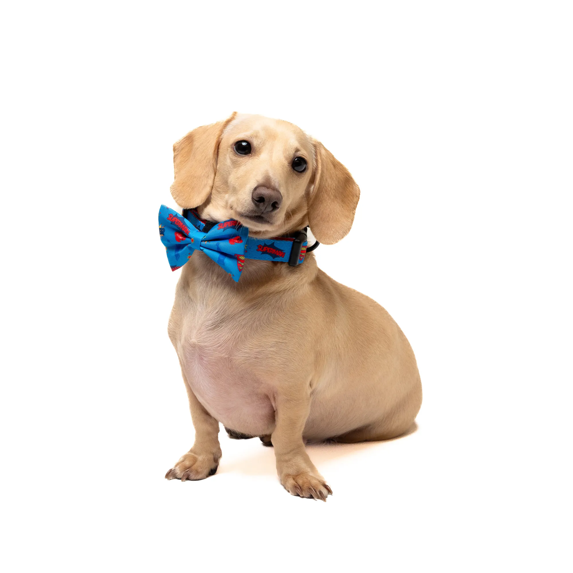 Petverse Superman Pet Bowtie