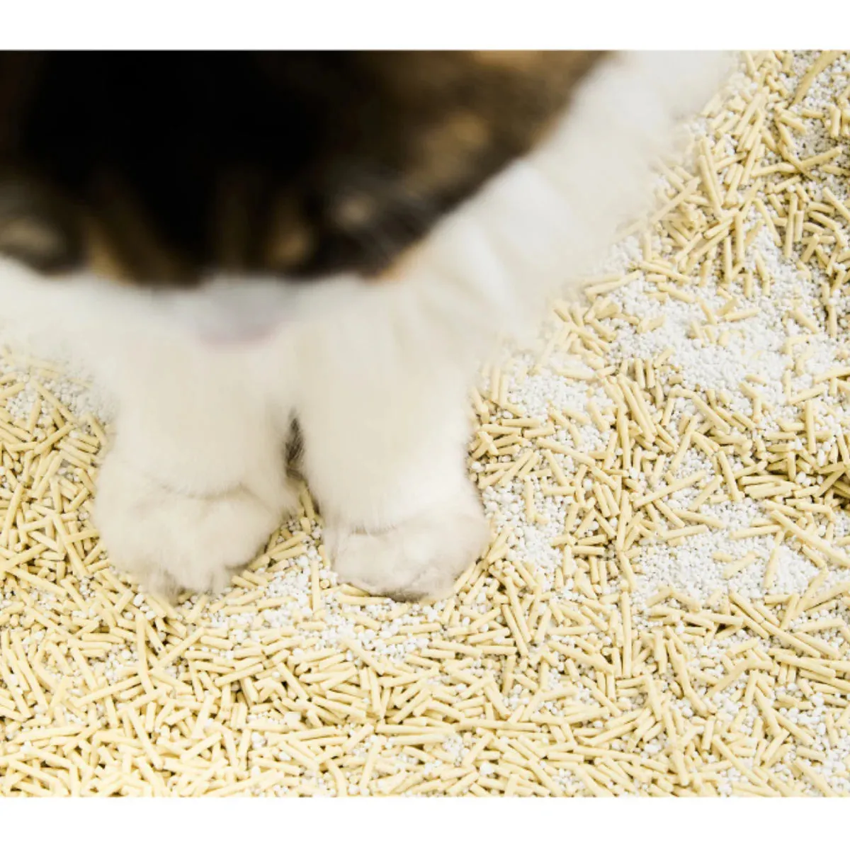 pidan - NEW! Cat Litter White-Jade (Corn Starch) & Tofu Mix