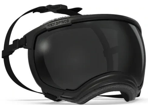 Rex Specs Dog Goggle