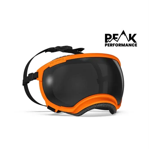 Rex Specs Dog Goggle