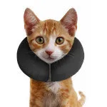 ZenPet ZenCollar Inflatable Recovery Collar