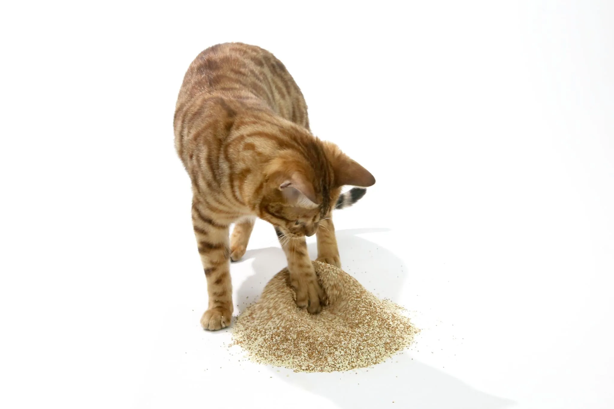 ZODIAC Natural Way Walnut Shell & Cassava Cat Litter